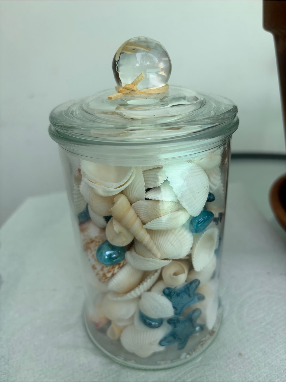 Coastal Shell Jar with Blue Accents - Decorative Home Accent - Picture 6 of 7